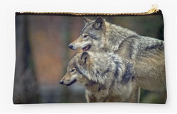 Wolf Studio Pouches from Wolvesonly Red Bubble